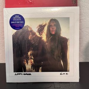 Lady Gaga Vinyl